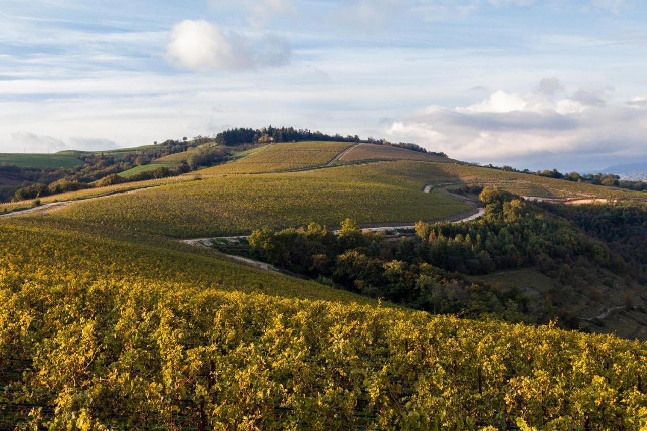 Ca' Del Moro Wine Retreat Hotel Grezzana Luaran gambar
